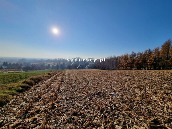 Działka 7800 m2 w Kraków