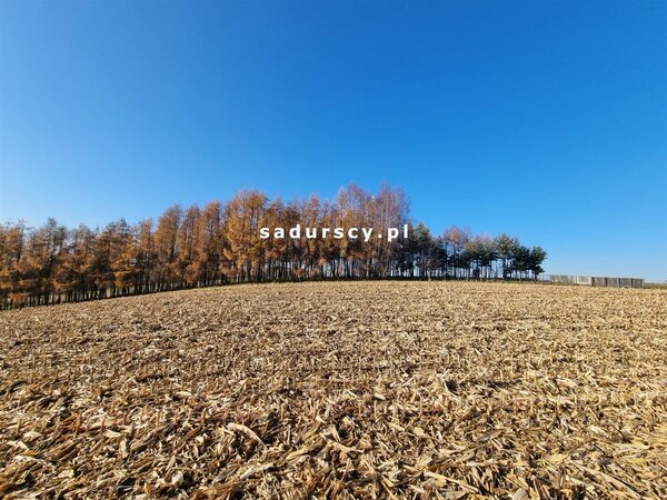 Działka 7800 m2 w Kraków