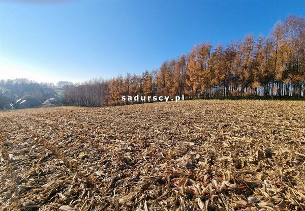 Działka 7800 m2 w Kraków