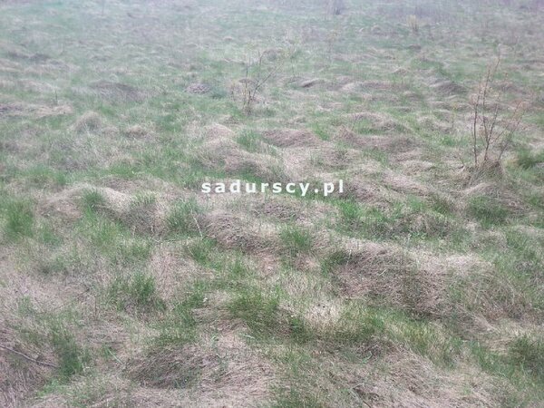 Działka 5341 m2 w Kraków