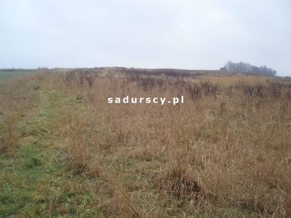 Działka 2940 m2 w Sąspów