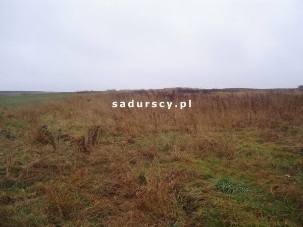 Działka 2940 m2 w Sąspów