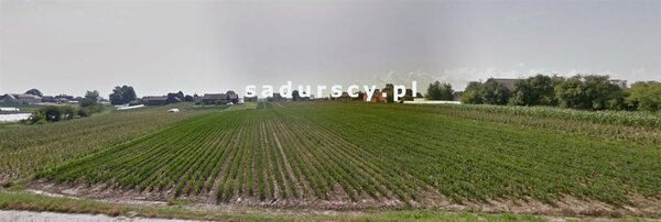 Działka 9816 m2 w Złotniki