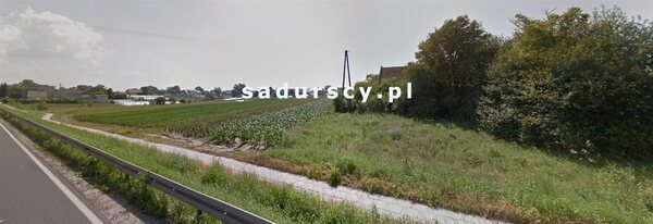 Działka 9816 m2 w Złotniki