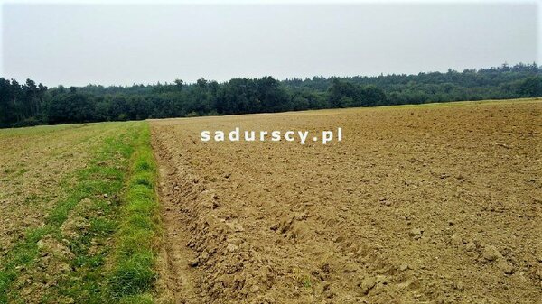 Działka 9343 m2 w Czaple Wielkie