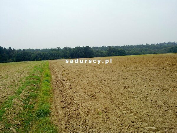 Działka 9343 m2 w Czaple Wielkie