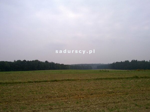 Działka 9343 m2 w Czaple Wielkie
