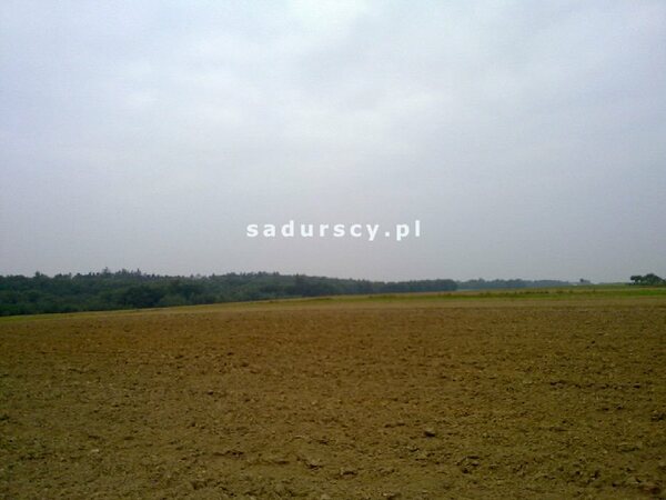 Działka 9343 m2 w Czaple Wielkie