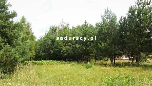 Działka 11000 m2 w Buczków