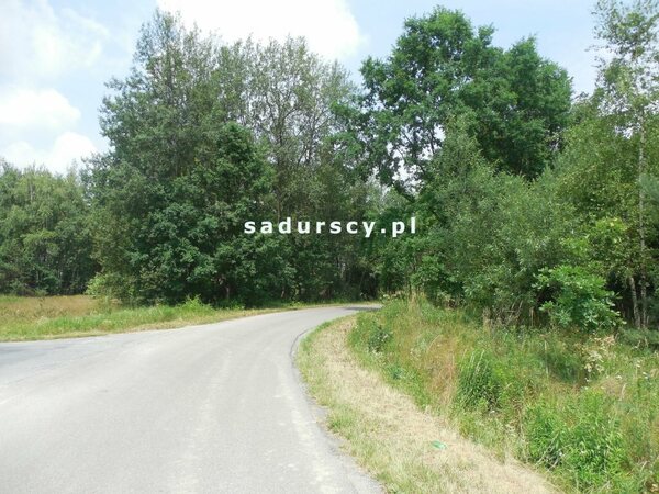 Działka 11000 m2 w Buczków