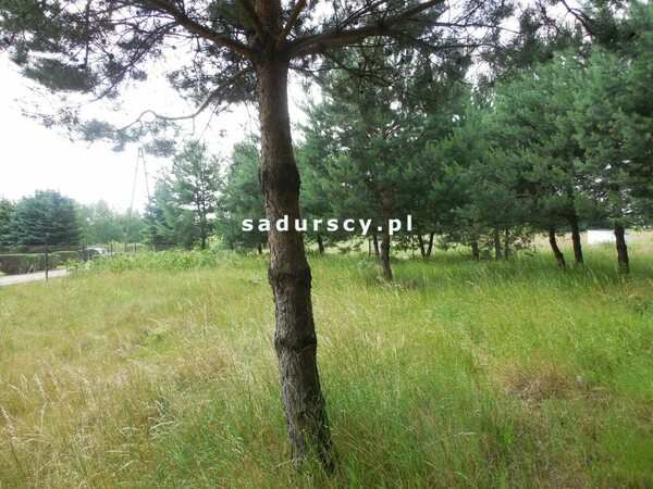 Działka 11000 m2 w Buczków