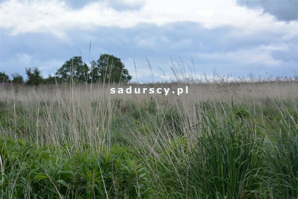 Działka 1313 m2 w Glewiec