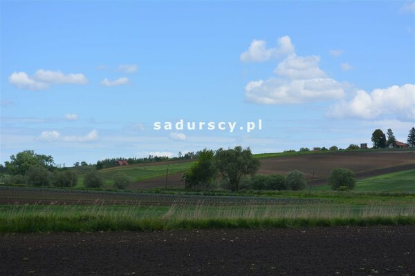 Działka 1313 m2 w Glewiec