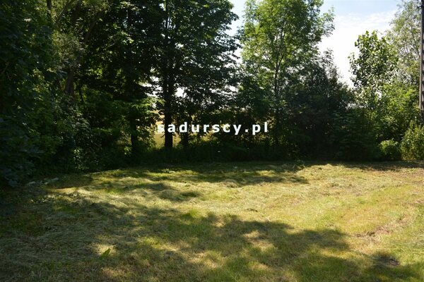 Działka 3100 m2 w Kościejów