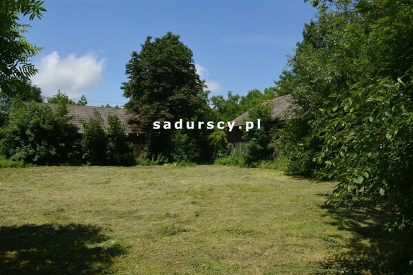 Działka 3100 m2 w Kościejów