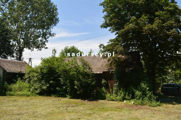 Działka 3100 m2 w Kościejów