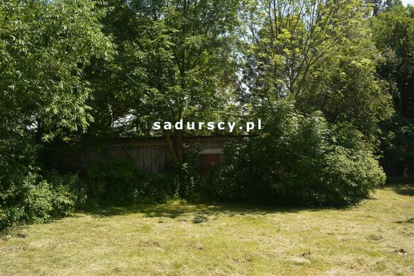 Działka 3100 m2 w Kościejów