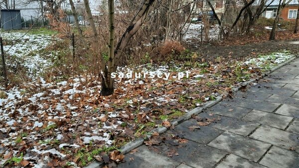 Działka 916 m2 w Kraków