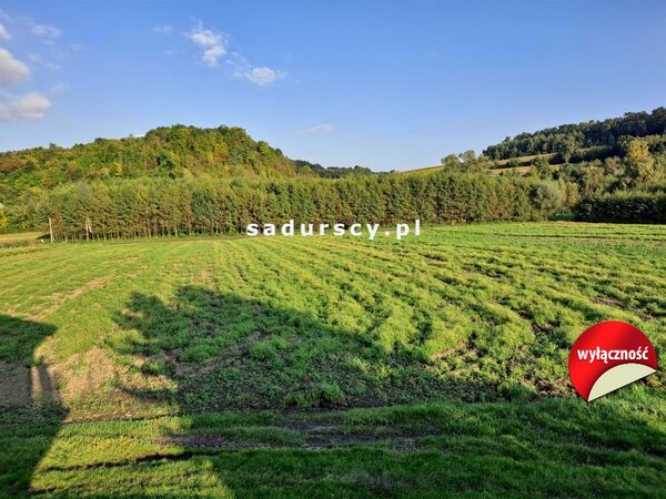 Działka 4800 m2 w Polekarcice