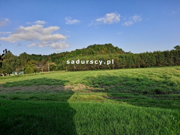 Działka 4800 m2 w Polekarcice