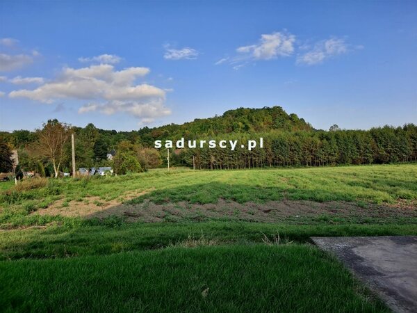 Działka 4800 m2 w Polekarcice