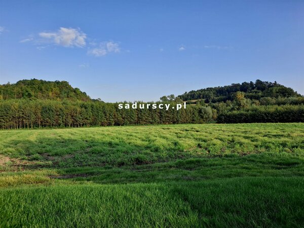 Działka 4800 m2 w Polekarcice