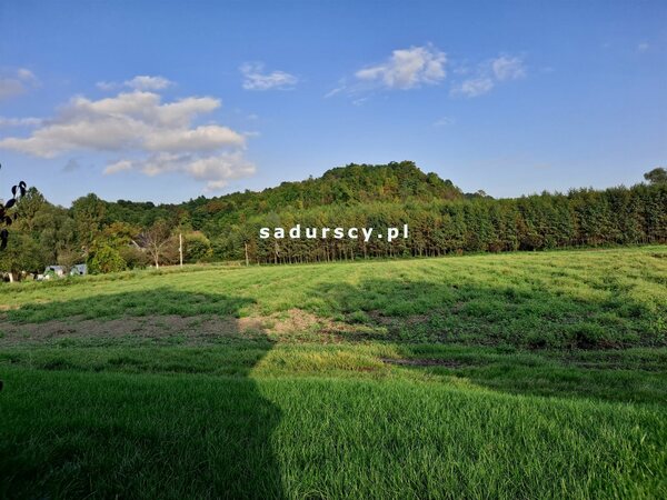 Działka 4800 m2 w Polekarcice