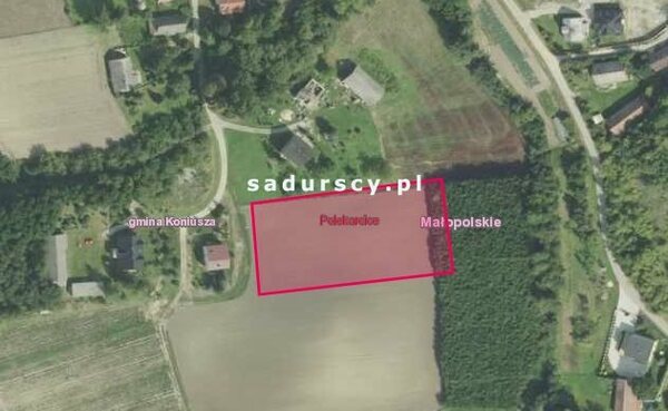 Działka 4800 m2 w Polekarcice