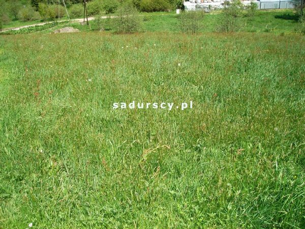 Działka 1400 m2 w Mogilany