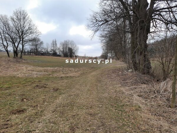 Działka 1900 m2 w Celiny