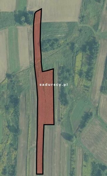 Działka 10006 m2 w Kaszów