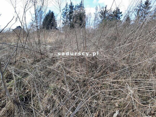 Działka 10006 m2 w Kaszów