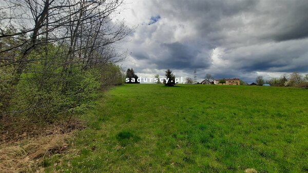 Działka 3400 m2 w Dobczyce