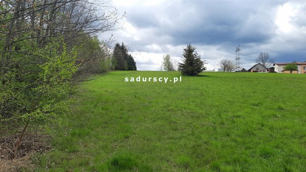 Działka 3400 m2 w Dobczyce