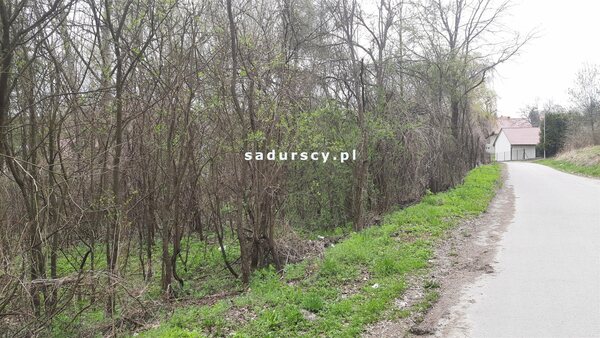 Działka 4973 m2 w Dąbrowa Szlachecka