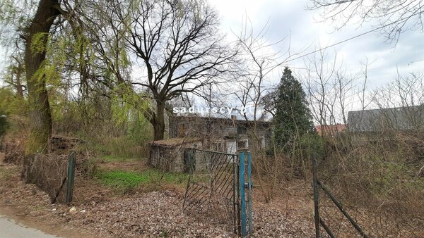 Działka 4973 m2 w Dąbrowa Szlachecka