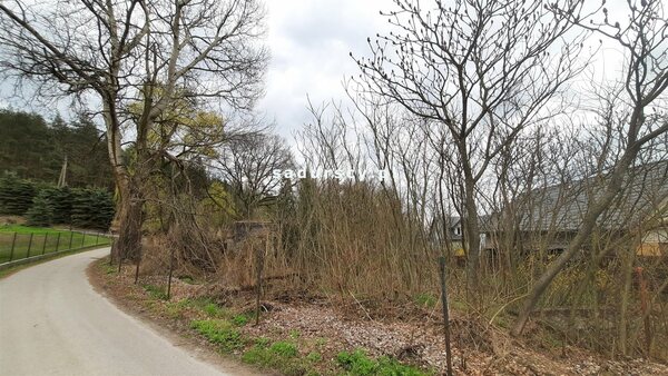 Działka 4973 m2 w Dąbrowa Szlachecka