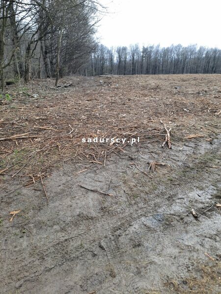 Działka 2500 m2 w Kleszczów