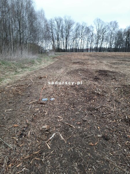 Działka 2500 m2 w Kleszczów