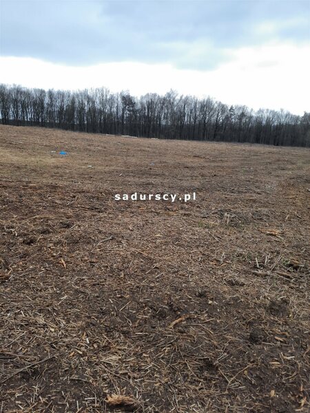 Działka 2500 m2 w Kleszczów