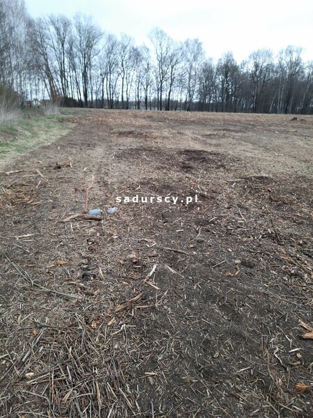 Działka 2500 m2 w Kleszczów