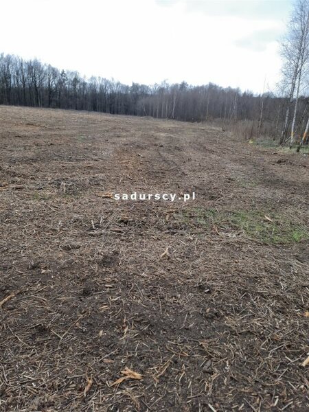 Działka 2500 m2 w Kleszczów