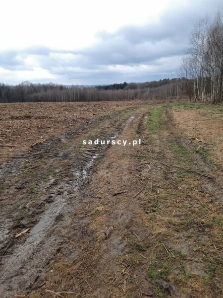 Działka 2500 m2 w Kleszczów