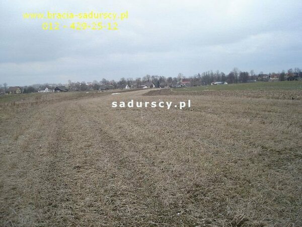 Działka 8900 m2 w Niewiarów