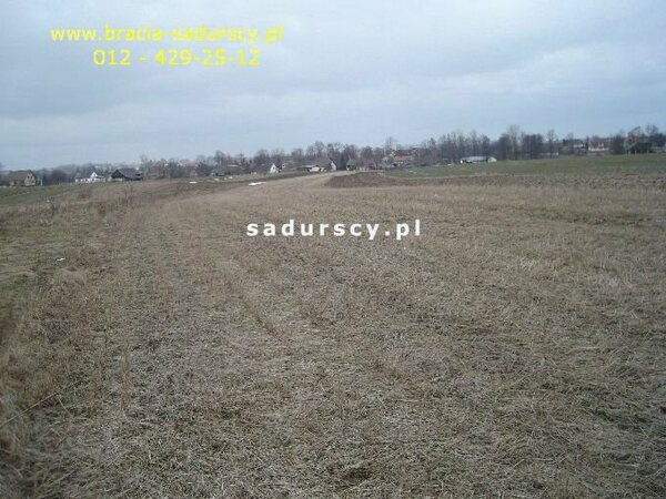 Działka 8900 m2 w Niewiarów