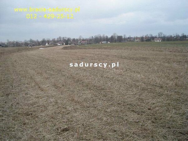 Działka 8900 m2 w Niewiarów