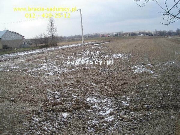 Działka 8900 m2 w Niewiarów