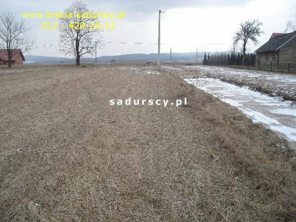 Działka 8900 m2 w Niewiarów