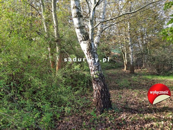 Działka 2003 m2 w Kraków