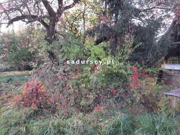 Działka 2003 m2 w Kraków